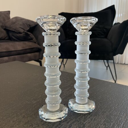 פמוטים חלביים מעגלי חיים