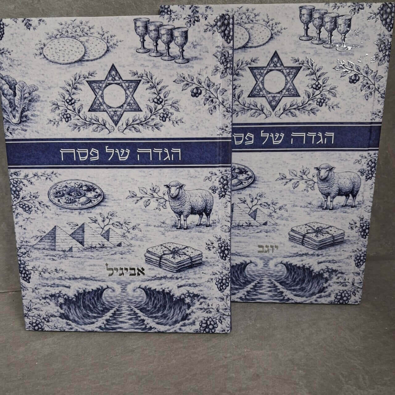 הגדה לפסח מעוצבת