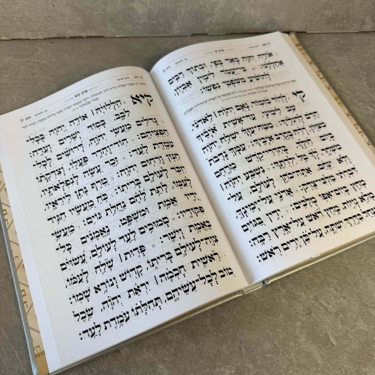 תהילים כותל אפור ענק (24/17)