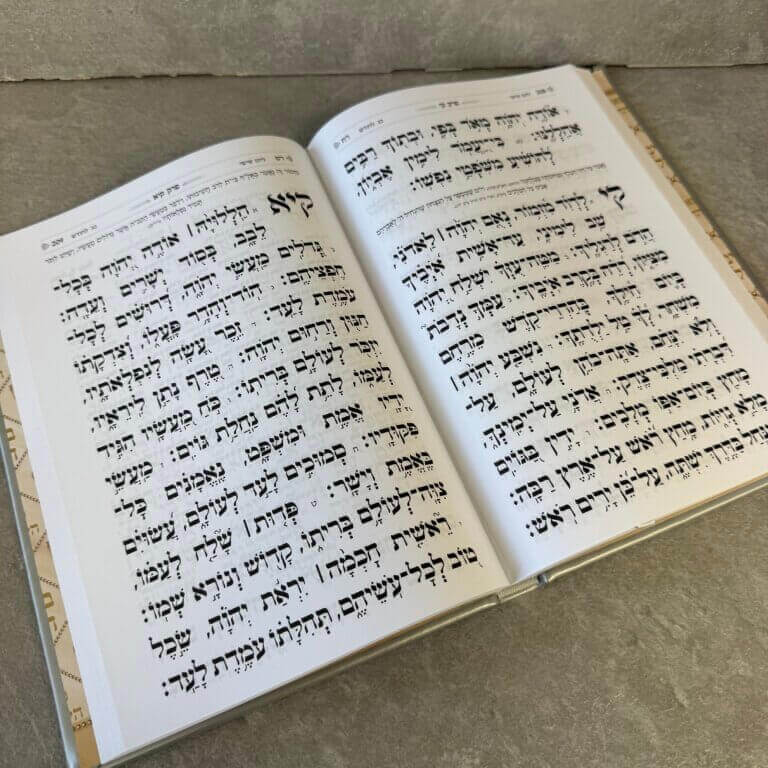 תהילים כותל אפור ענק (24/17)