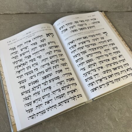 תהילים כותל אפור ענק (24/17)